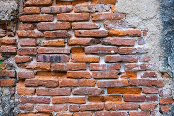 Fototapeta premium Old red brick wall texture and green leaf hanging down on it at the edge. Copy space background. 