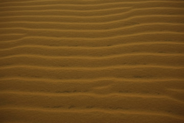 Texture sand in the desert