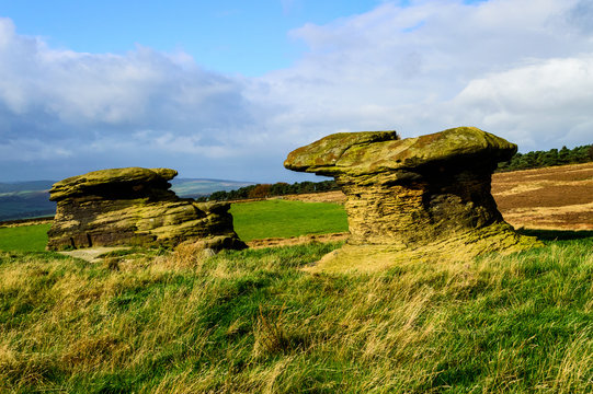 รูปภาพDoubler เลือกดูภาพถ่ายสต็อก เวกเตอร์ และวิดีโอ303 Adobe Stock