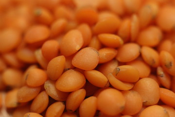 Red Lentils