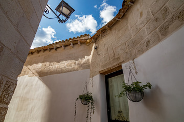 Two green potted plants grow hanging in two white pots around glass door in Laterza, Puglia region,...