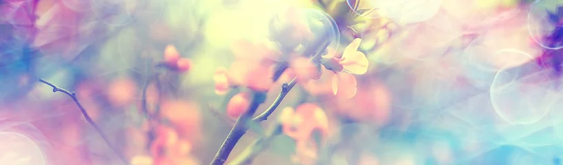 Foto auf Acrylglas Magnolienblüte Frühlingsgarten / schöne Blumen, Frühlingshintergrund rosa Blumen © kichigin19