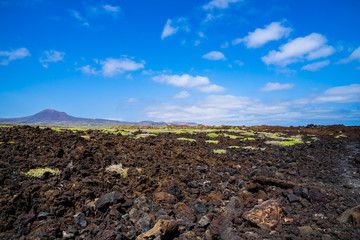 Spain, Lanzarote, Bizarre dry desert scenery of black lava field covered by green flora surrounding volcano corona