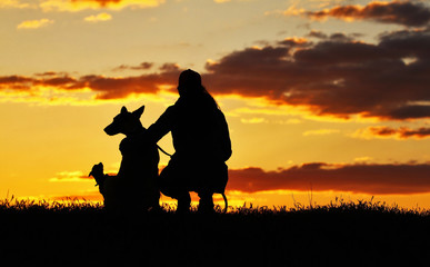 Silhouettes girl and two dogs at sunset, a breed of Belgian Shepherd dog Malinois and a miniature...