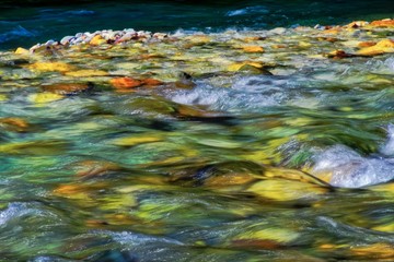 reflections in water