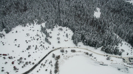 Aerial view of a snowy forest