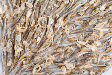 Arranged small dried fish and shrimps pattern