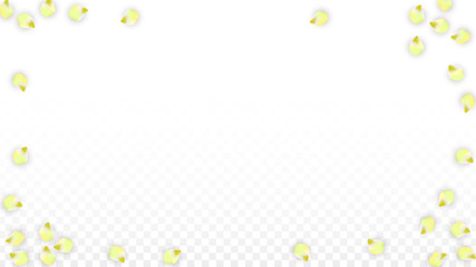 Naklejka na ściany i meble Vector Realistic Pink Petals Falling on Transparent Background. Spring Romantic Flowers Illustration. Flying Petals. Sakura Spa Design. Blossom Confetti.