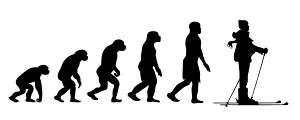 Painted theory of evolution of man. Vector silhouette of homo sapiens. Symbol from monkey to skier.