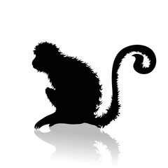 Obraz premium Vector silhouette of monkey on white background Symbol of animal and nature.