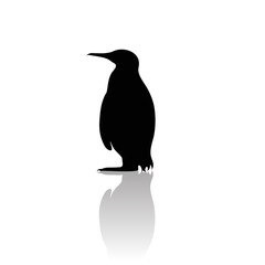 Vector silhouette of penguin on white background.Symbol of animal and nature.