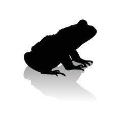 Vector silhouette of frog on white background.Symbol of animal and nature.