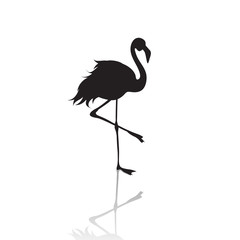Vector silhouette of flamingo on white background.Symbol of animal and nature.