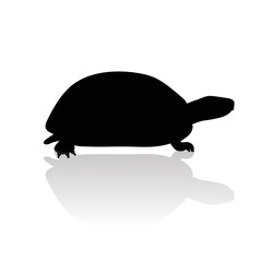 Vector silhouette of turtle on white background.Symbol of animal and nature.