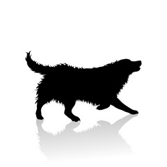 Vector silhoutte of runs dog on white background. Symbol of animal and veterinary.