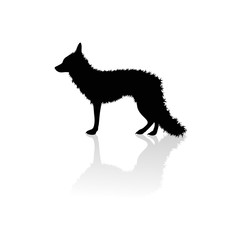 Vector silhouette of fox on white background.Symbol of animal and nature.