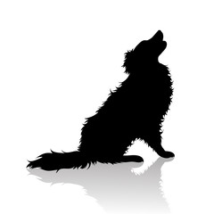 Vector silhoutte of dog on white background. Symbol of animal and veterinary.