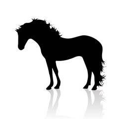 Obraz premium Vector silhouette of horse on white background.Symbol of animal and nature.