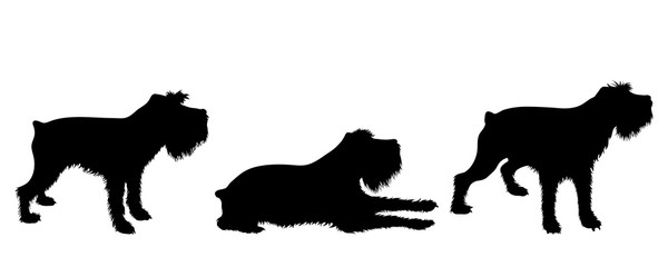 Vector silhoutte of set dogs on white background. Symbol of animal and veterinary.