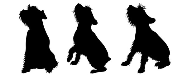 Vector silhoutte of set dogs on white background. Symbol of animal and veterinary.