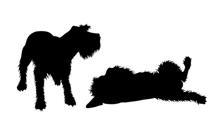 Vector silhoutte of couple of dogs on white background. Symbol of animal and veterinary.