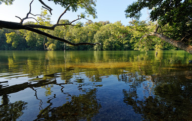 Fototapeta na wymiar Seine river reflection in Fontainebleau forest