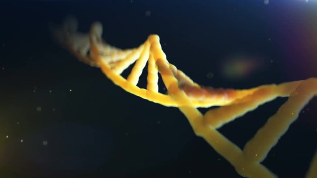 DNA molecule 3D, spiral spinning, genetic research, replication, mutation. Genetic engineering, forensic research, genes and genetic disorders, science