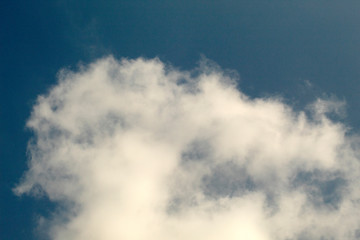 Obraz premium fresh fish isolated on white background