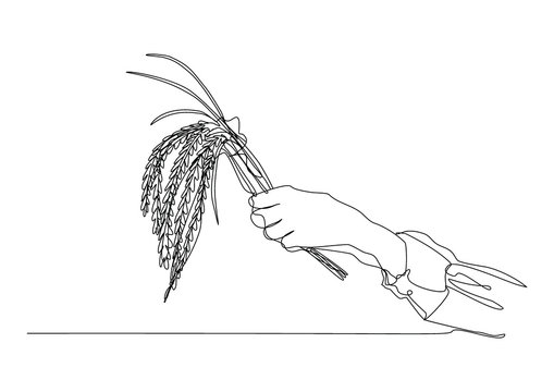 recommend clip art: Draw a continuous line of hand woman farmer holding rice