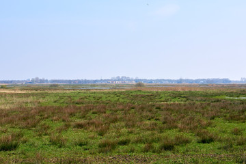 Grass and sky in Groningen - Holland - Netherlands