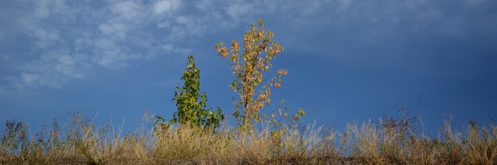 Autumnal Impressions from Berlin Spandau, Germany