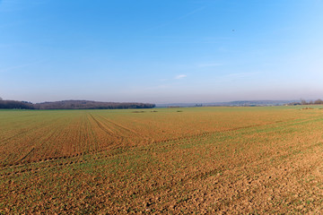 Fototapeta na wymiar agricultural field in the French Gâtnais regional nature park