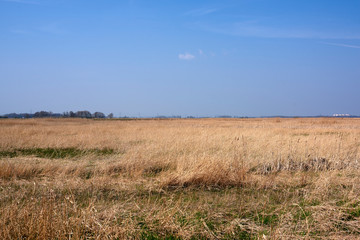 Grass and sky in Groningen - Holland - Netherlands