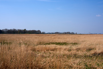 Grass and sky in Groningen - Holland - Netherlands