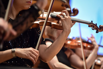 Violin players hand detail during philharmonic orchestra performance