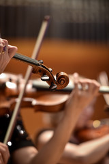 Fototapeta na wymiar Violin players hand detail during philharmonic orchestra performance
