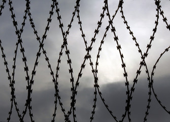 Barbed wire. Restricted area. Texture. Background. Illustration.