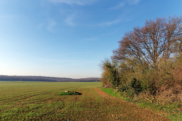Fototapeta premium agricultural field in the French Gâtnais regional nature park