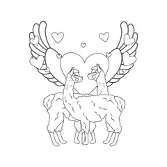 Llama in love outline