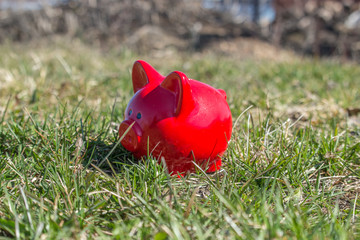 Pink piggy bank on the grass