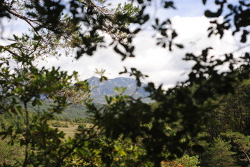 Mountain behind branches of trees