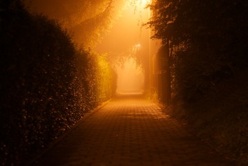 A path way at a foggy night