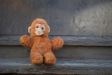 Lost soft toy monkey