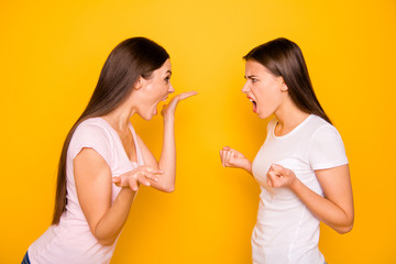 Portrait of nice-looking cute charming attractive irritated annoyed mad frustrated straight-haired girls disagreement having fight scandal claims isolated over bright vivid shine background