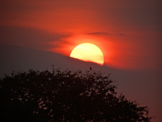 Obraz premium Sunset
