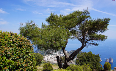 Capri