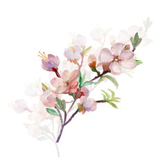 Watercolor spring tree branch.