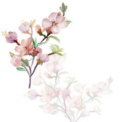 Obraz na płótnie Canvas Watercolor spring tree branch.