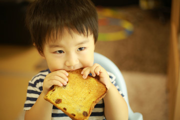 食パンを食べる男の子