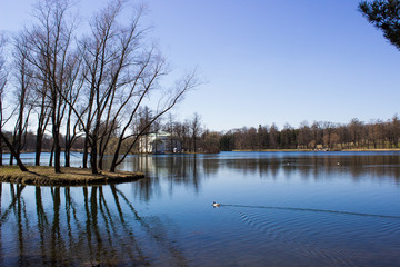 Tsarskoye Selo, Pushkin. Suburb of St. Petersburg, Russia. View of the park, lake and bridge